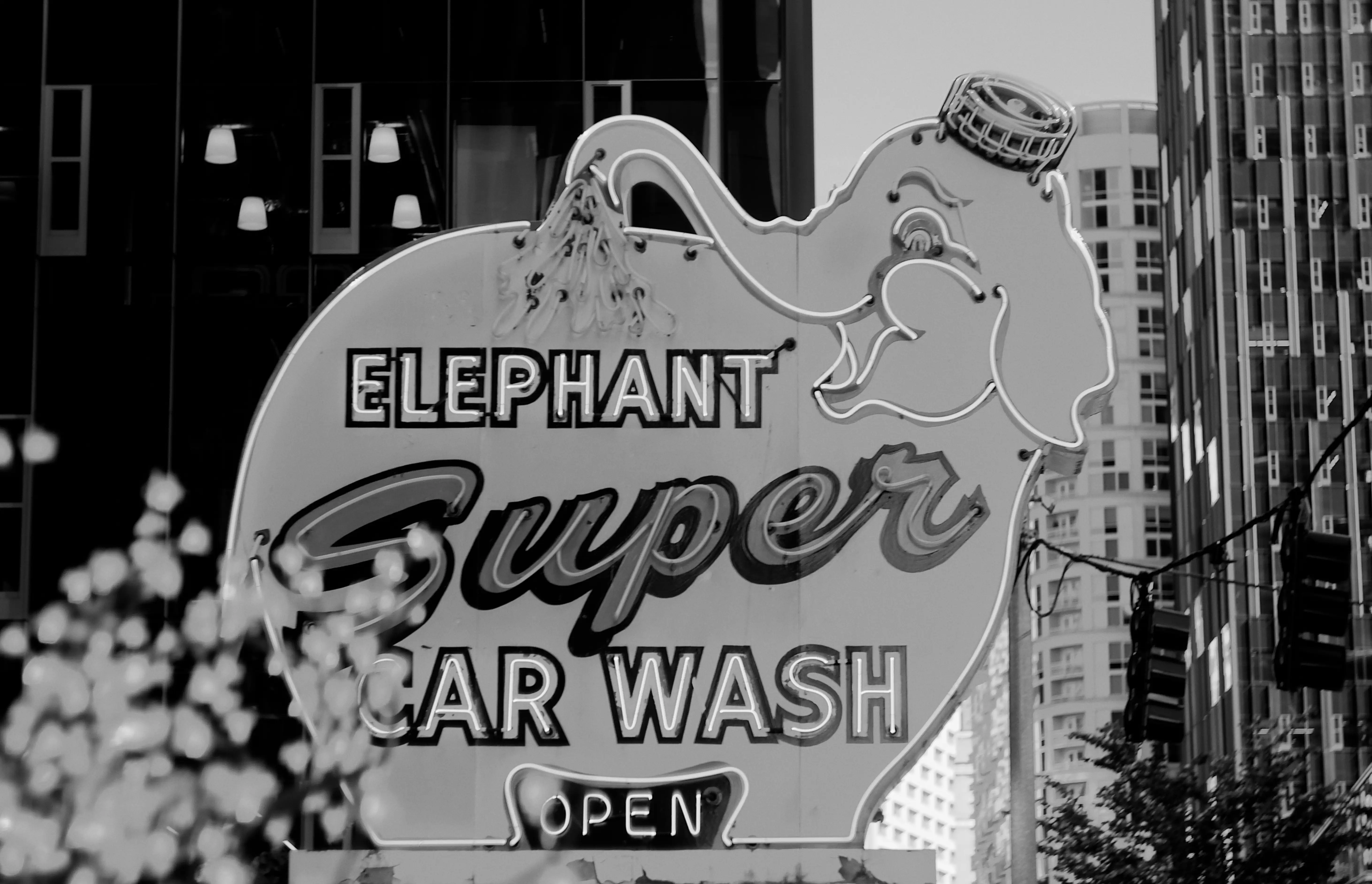 Monochrome photo of a neon car wash sign
								in the shape of an elephant pouring water onto itself.
								Elephant Super Car Wash: Open.