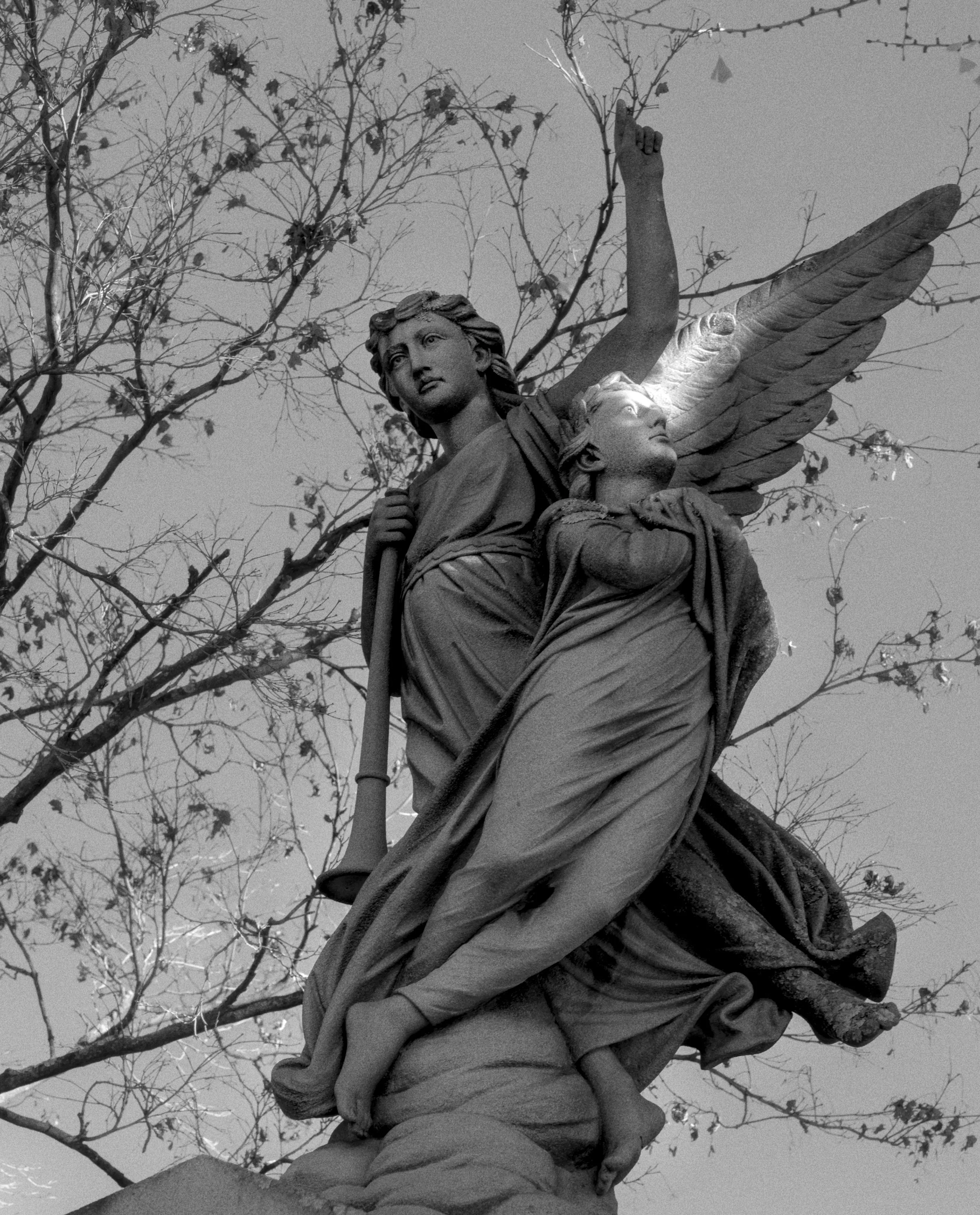 Monochrome photo of a trumpet-bearing angel statue
								with one lifted arm.
								Another smaller figure has sunlight shining onto his eyes
								as he looks in the distance.
								The statue is backgrounded by a spidery bare tree.
